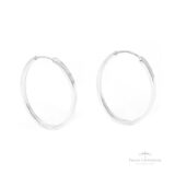 Argola Folha P Retangular em Prata - Prata Universal